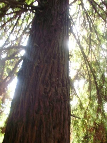 P9120008