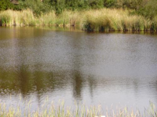 P7300010