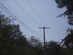 IMGP0700