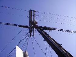 IMGP0415