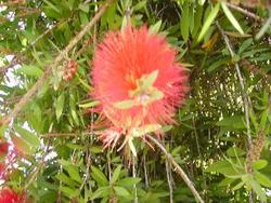IMGP0539