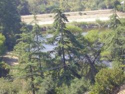 IMGP0695