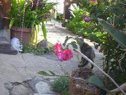 IMGP0129