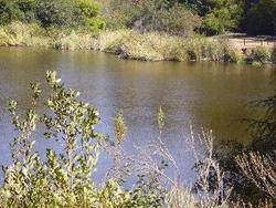 IMGP0054