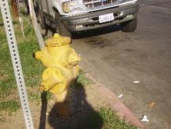 IMGP0783
