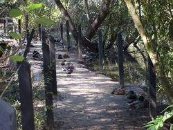 S6300017