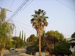 IMGP0726