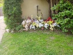 IMGP0745