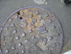 IMGP0838