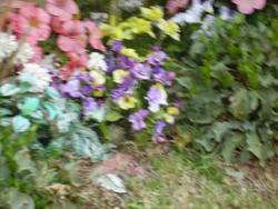 IMGP0850