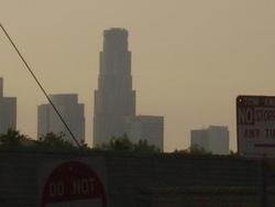 IMGP0867