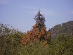 IMGP0491