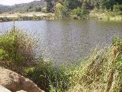 IMGP0773