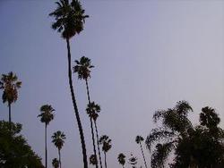 IMGP0299