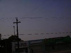 IMGP0359