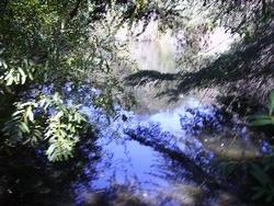IMGP0096