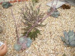 IMGP0889