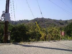 IMGP0367