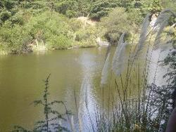 IMGP0724