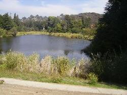IMGP0925