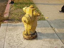 IMGP0061
