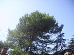 IMGP0904