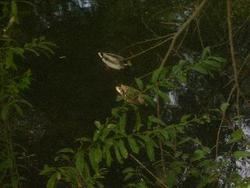 IMGP0758