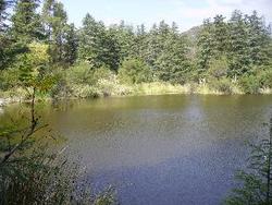 IMGP0717