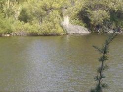 IMGP0342