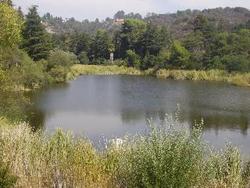 IMGP0103