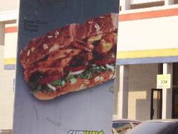 IMGP0789