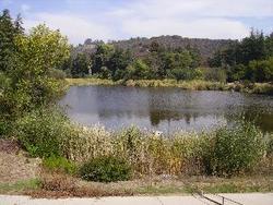 IMGP0094