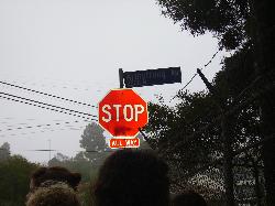 IMGP0995