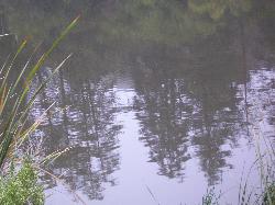 IMGP0647
