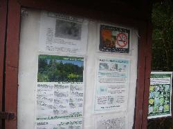 IMGP0844