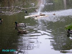 IMGP0082