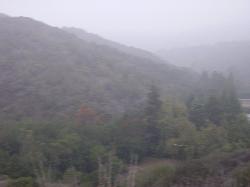 IMGP0106