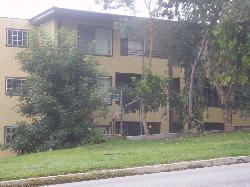IMGP0313