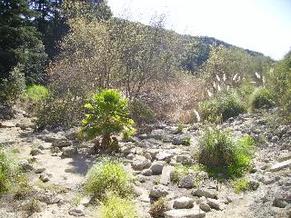 IMGP0576