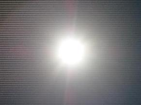 S6300264