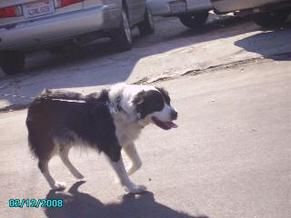 Brian_018