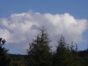 IMGP0968
