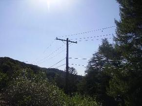 IMGP1185